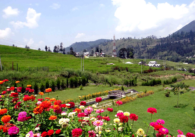 Best Travel Company in Jammu